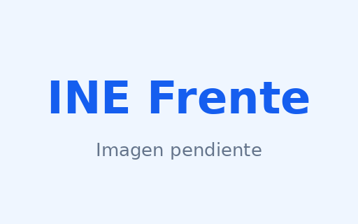 Ejemplo INE Frente